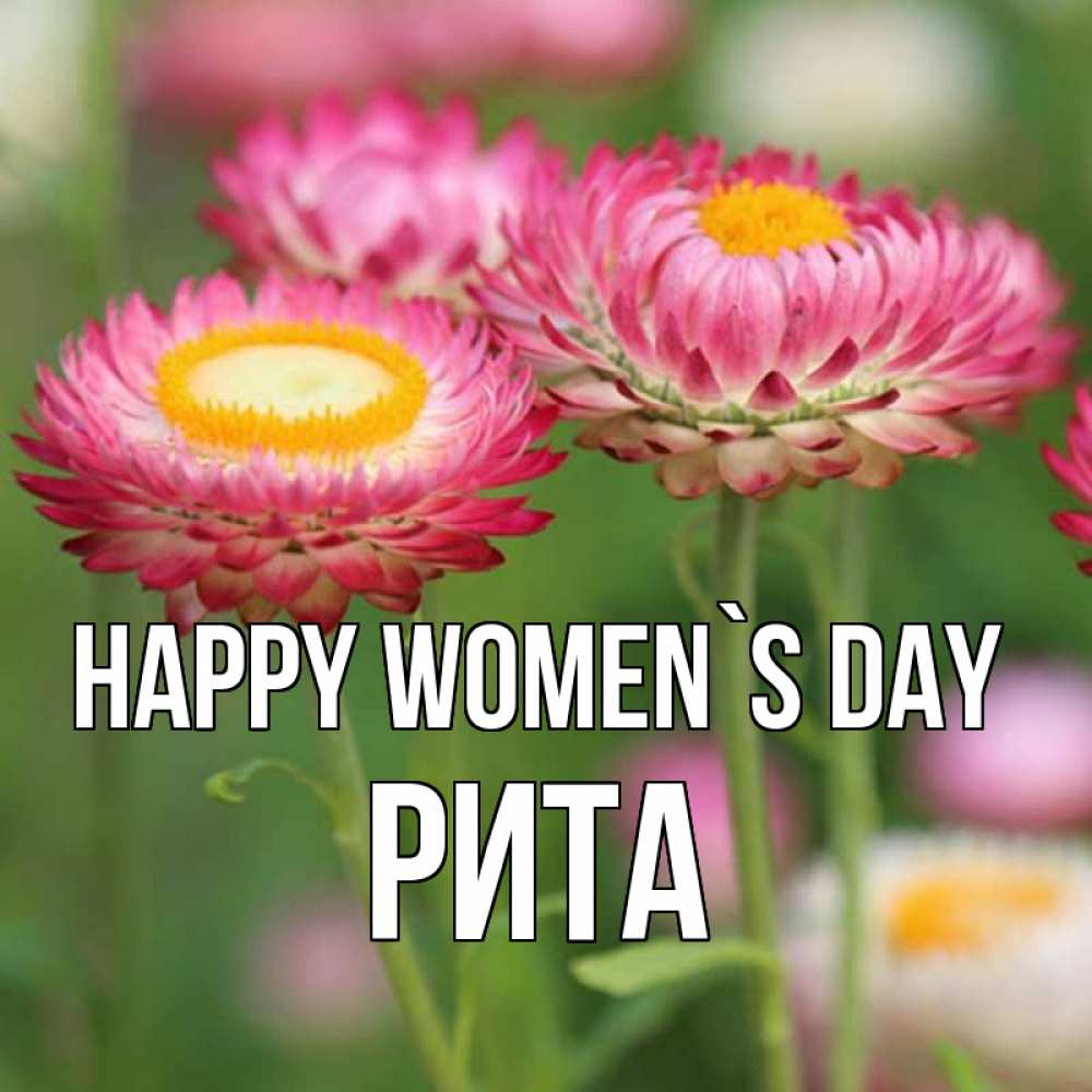 Greetings card с именем, Рита happy women`s day подарок на международный женский день Greetings with text for free download 